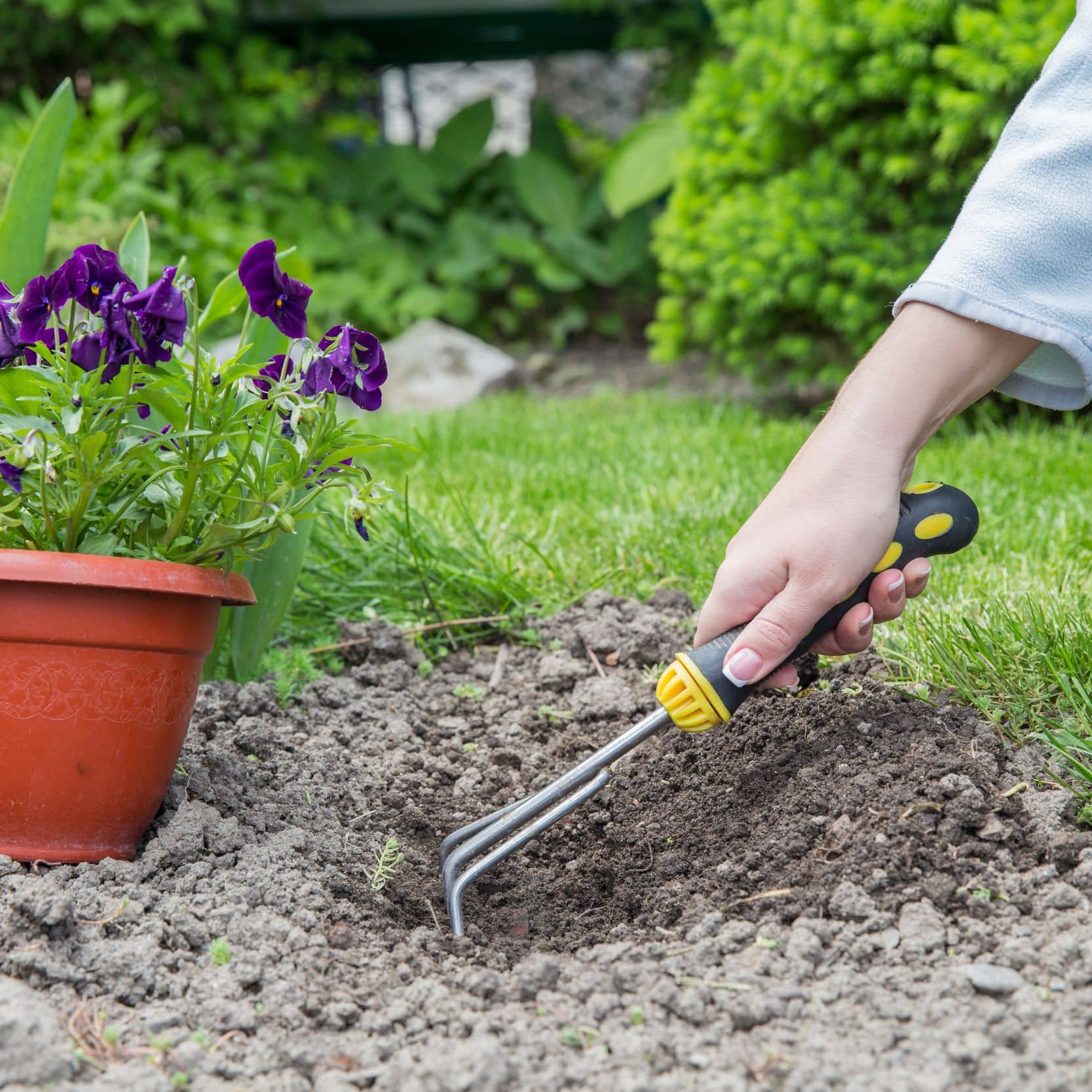 Gartensaison 2026 - Tipps für Familien