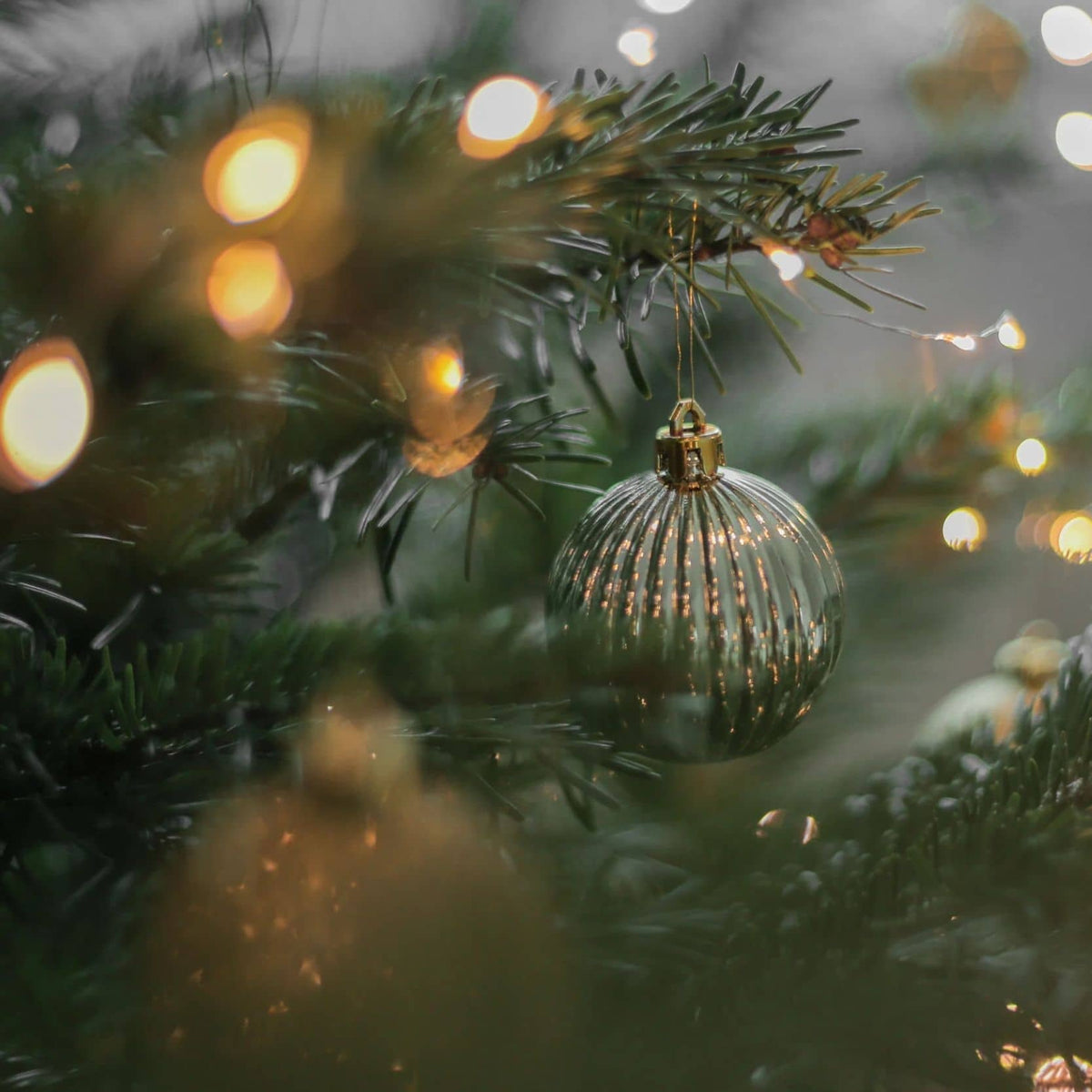 Weihnachten im Schwarzwald