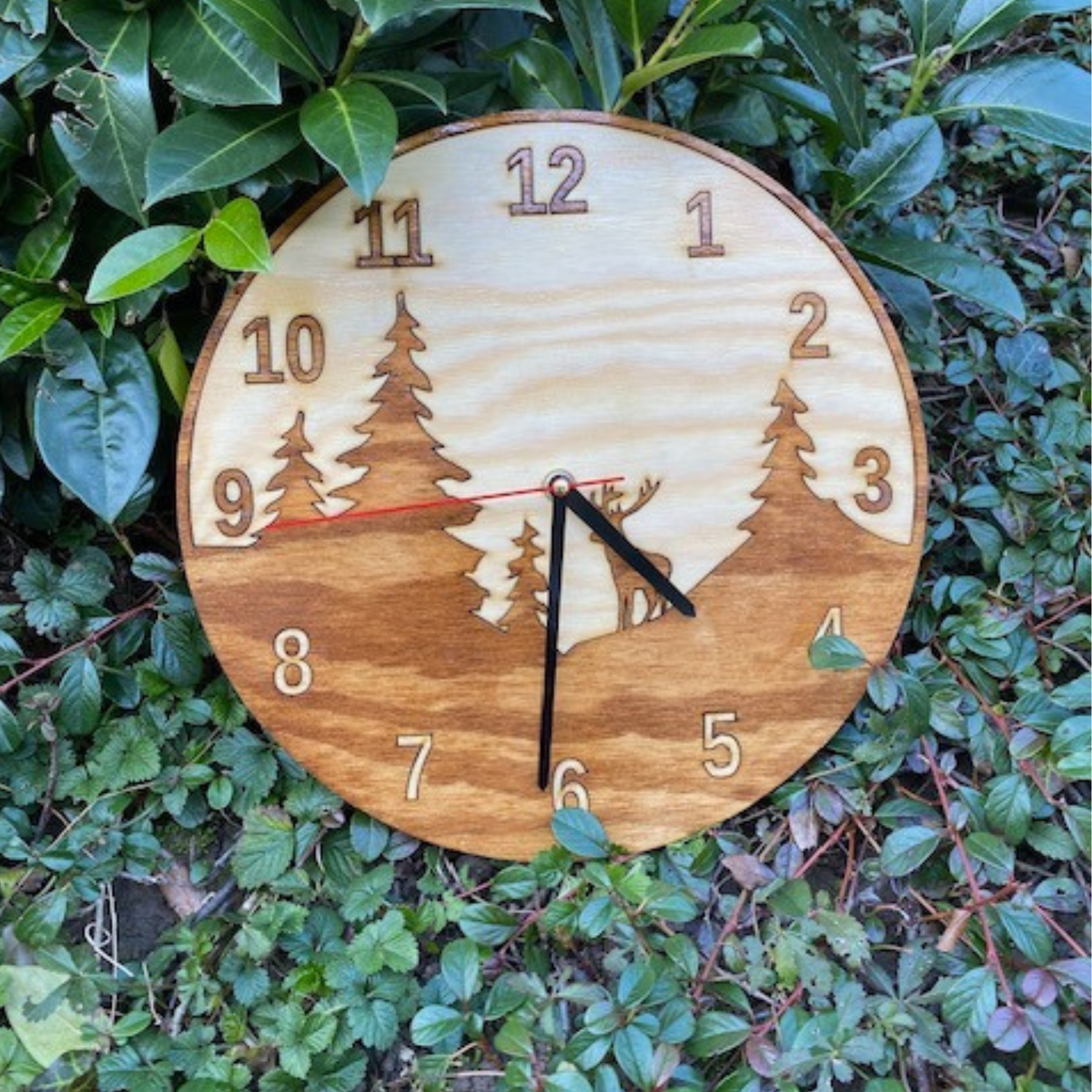 Schwarzwald-Uhr mit Wald- und Hirschmotiv, auf dem Boden zwischen üppigen grünen Pflanzen und Blättern ausgestellt.