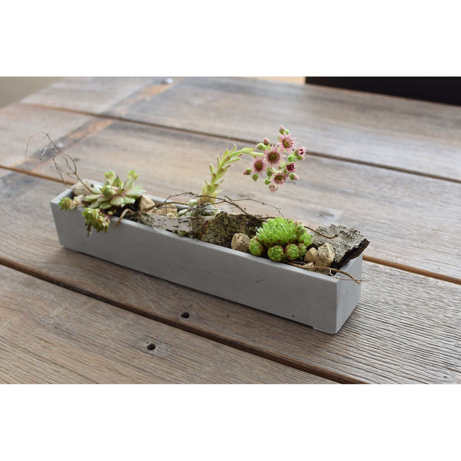 Ein rechteckiger, grauer Beton-Blumenkasten steht auf einem Holztisch und enthält Sukkulenten und kleine Steine. Dieses schicke Arrangement besteht aus grünen und rosa Sukkulenten mit zarten Blüten zwischen Steinen und schafft so stilvolle Pflanzgefäße.