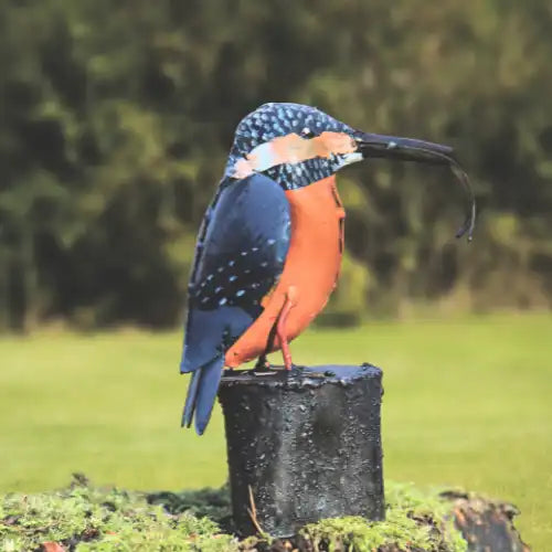 Ein Eisvogel mit einem Fisch im Schnabel, der auf einem moosbewachsenen Baumstumpf im Freien hockt.