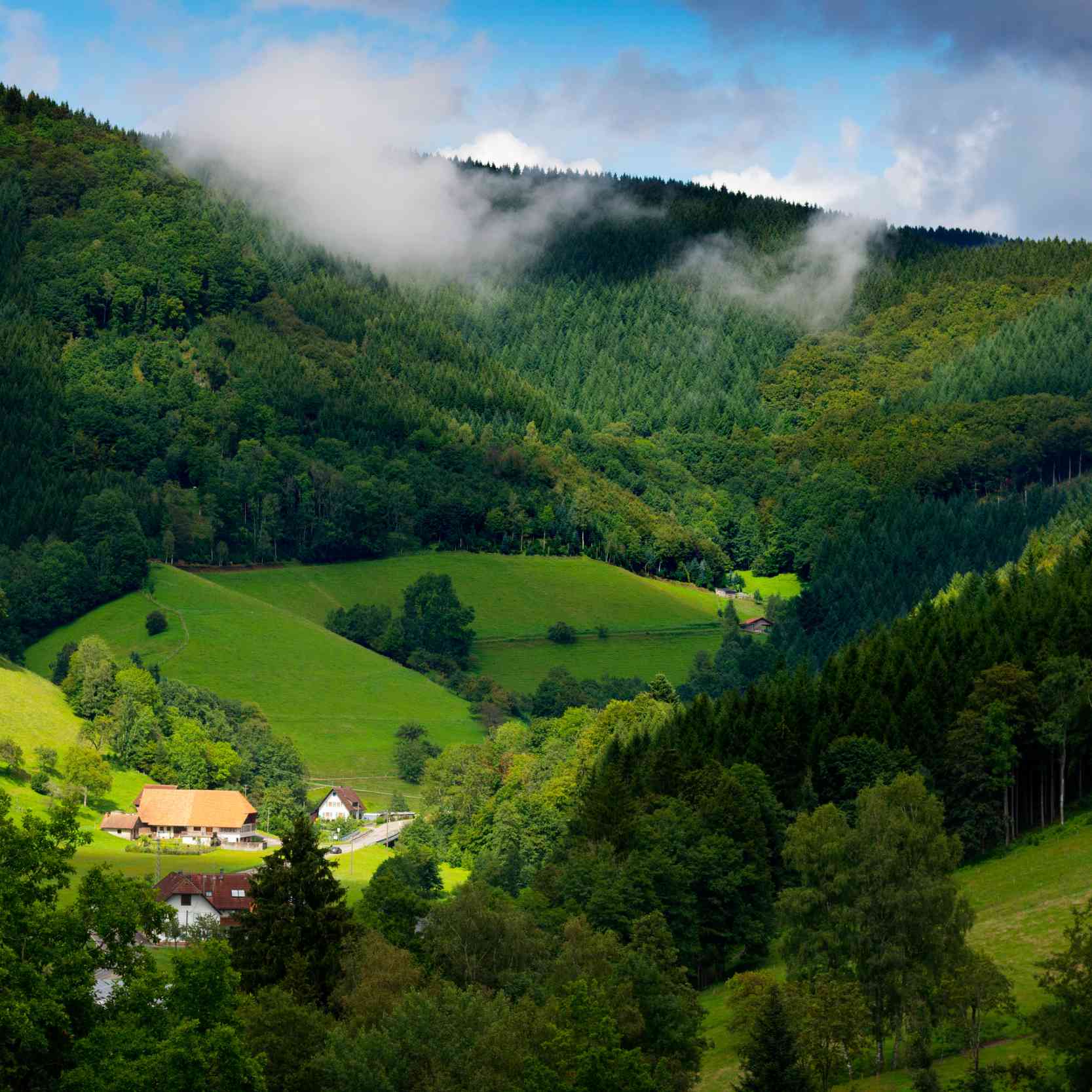 Naturparadies Schwarzwald