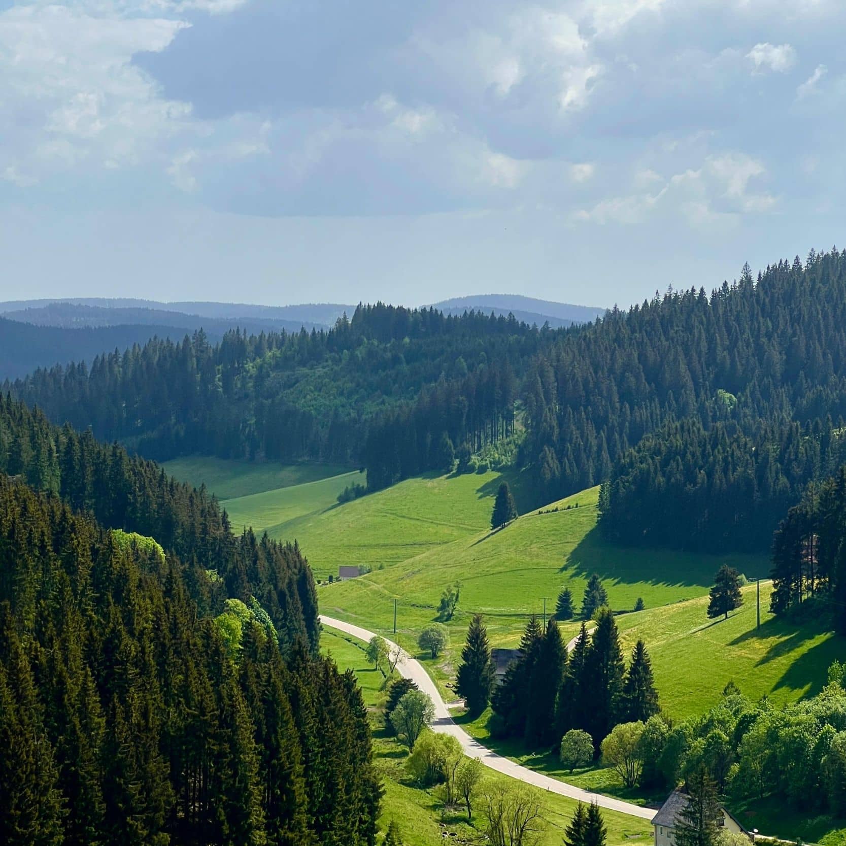 Sommer im Schwarzwald