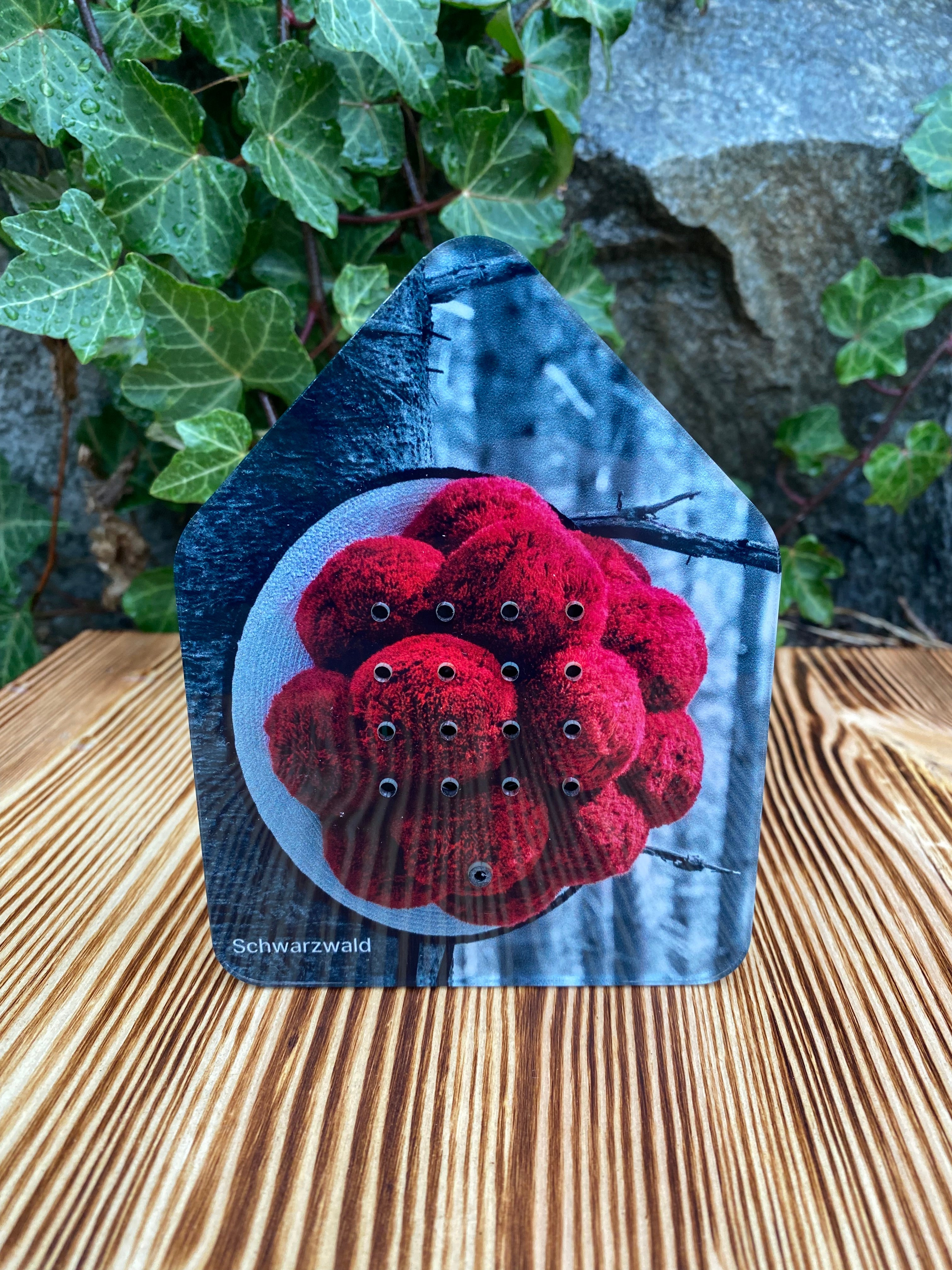 Eine Zwitscherbox „Bollenhut“ & „Hirsch“ liegt wie eine bezaubernde Schwarzwaldszenerie da – hausförmig mit roten Kugeln, platziert auf Holz mit Efeu und Felsen im Hintergrund.