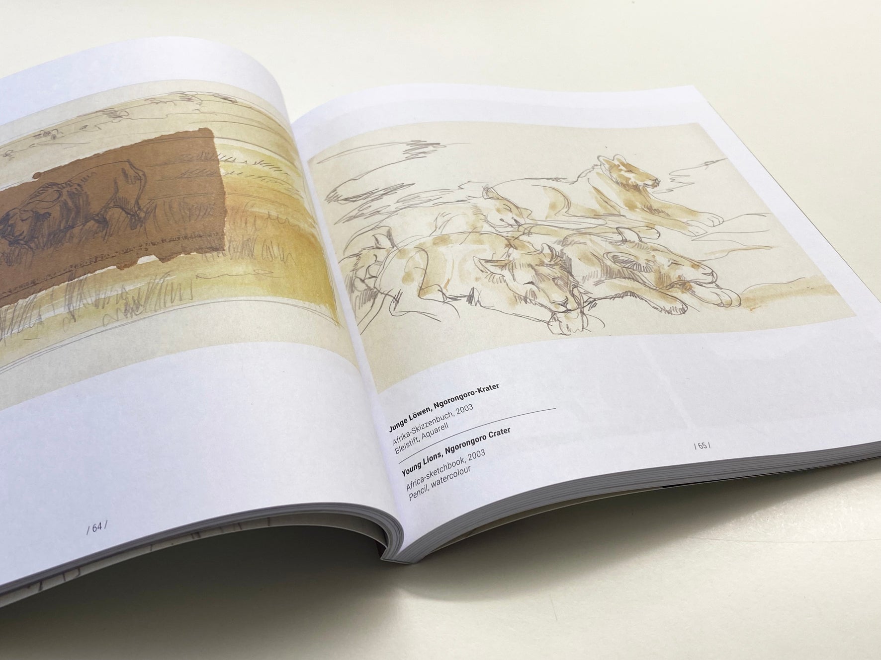 Offenes Buch mit Tierskizzen wie Büffel und Löwen auf weißen Seiten auf einer hellen Oberfläche – ähnlich „Nicht vom Beckenrand springen! – Reiseskizzen 1987–2021“.