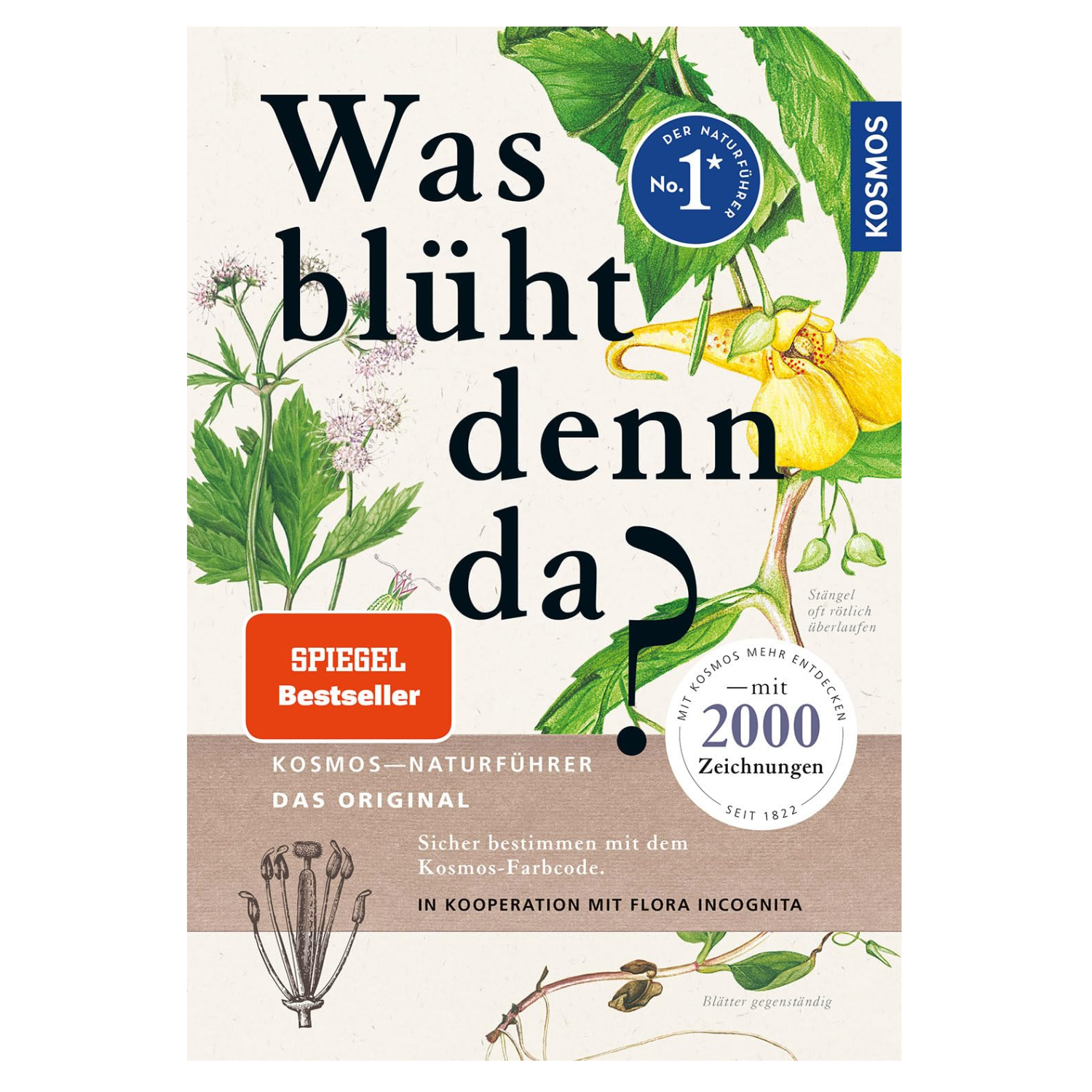 Buchcover von „Was blüht denn da?“ mit deutschem Text und Pflanzenabbildungen – ideal zum Bestimmen von Blütenpflanzen oder zur Verwendung in Verbindung mit der Flora Incognita Bestimmungs-App.