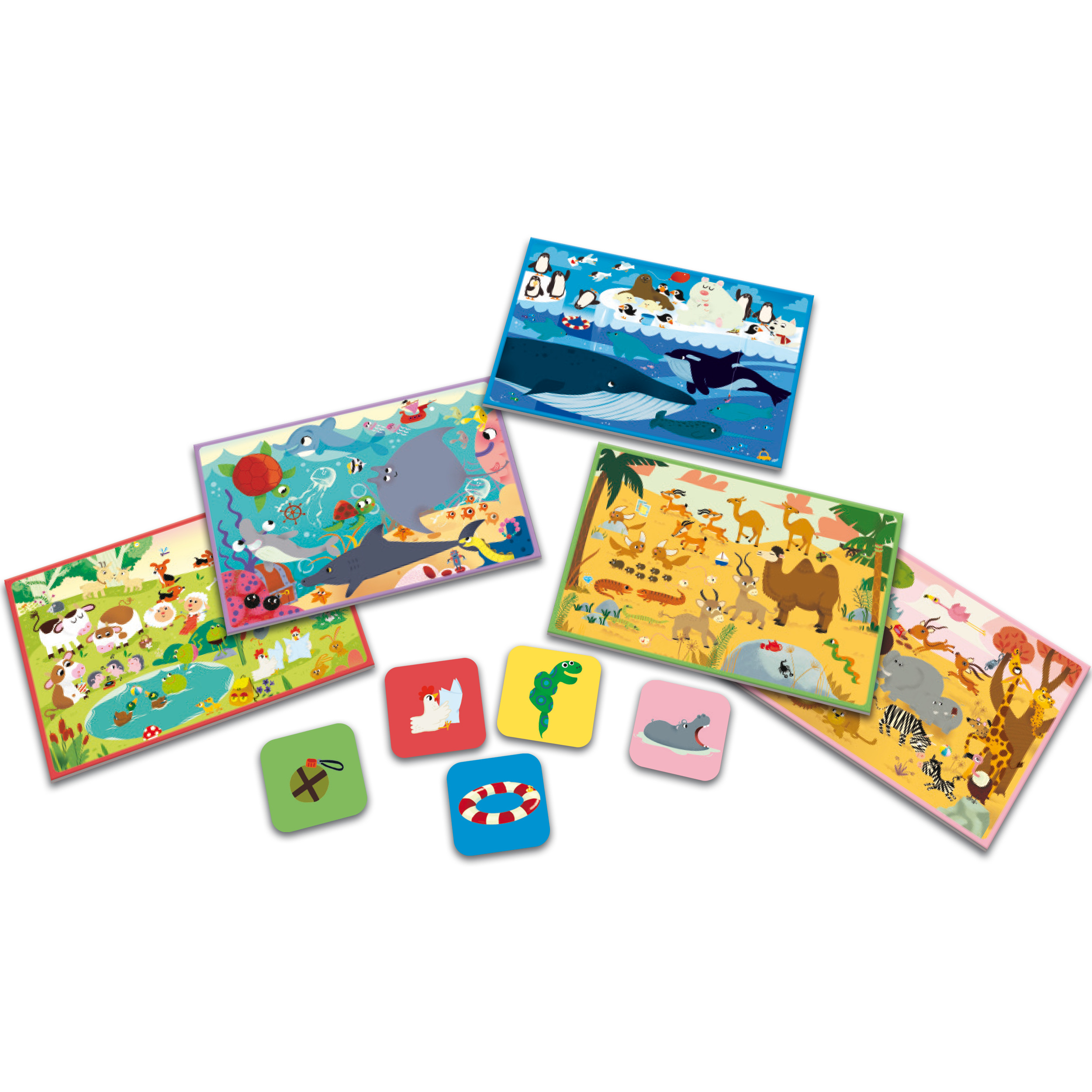 Tiere aus aller Welt suchen und finden: Vier illustrierte Tier-Habitat-Tafeln mit passenden Tier-Token – ein Spiel, das Beobachtungsgabe und Spaß mit wunderschönen Bildern vereint.