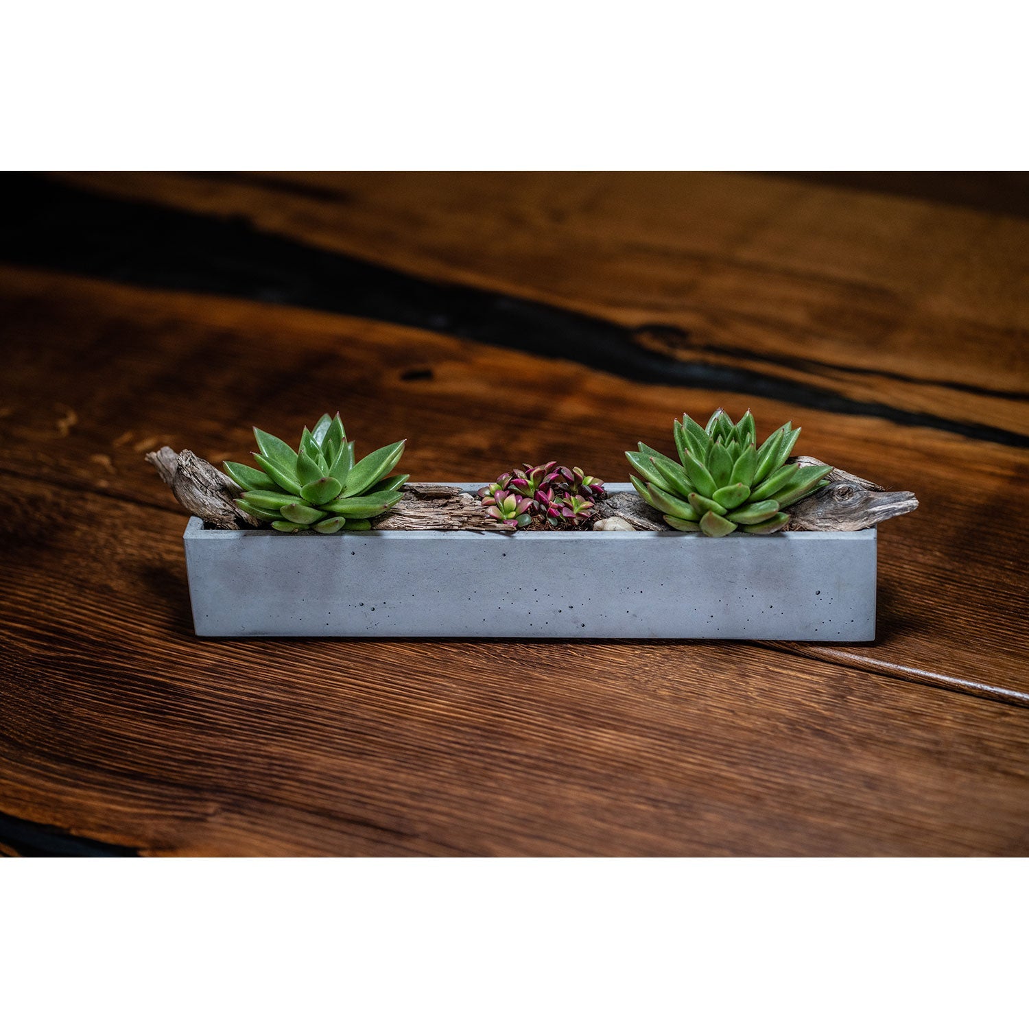 Der graue, längliche Blumenkasten aus Beton präsentiert zwei üppige Sukkulenten und winzige violette Blumen, elegant vor einer strukturierten Holzoberfläche platziert, die für ihr stilvolles Pflanzgefäß-Design bekannt ist.
