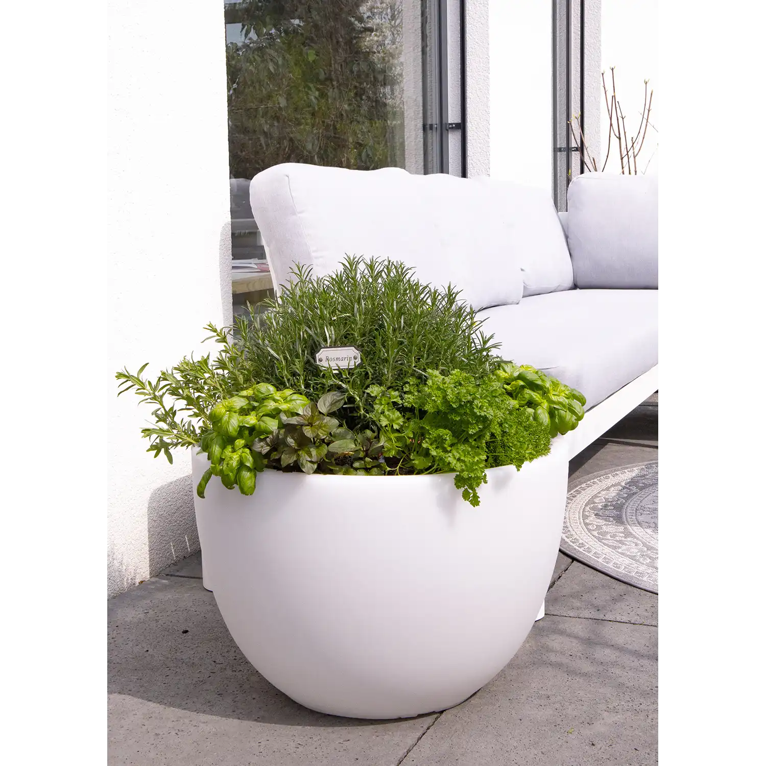 Blumentopf mit Kräuter auf der Terrasse