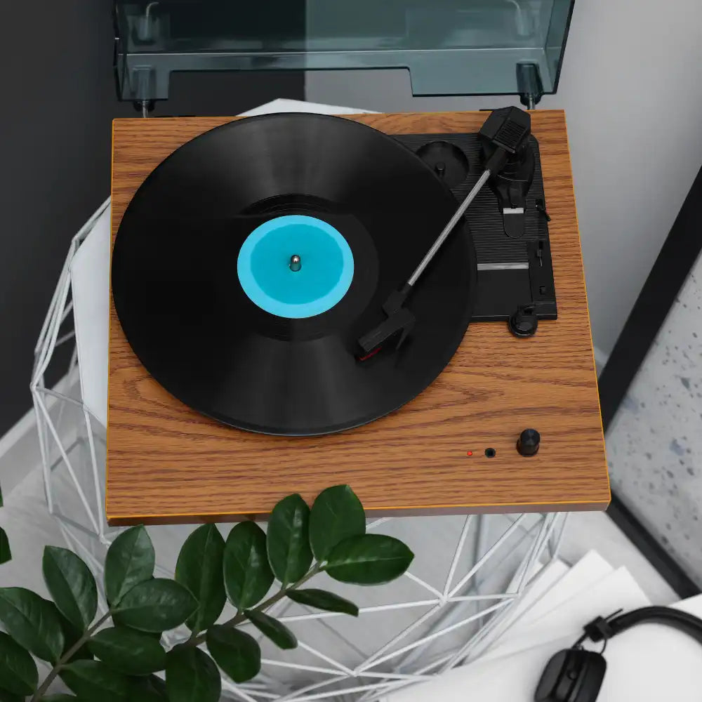 Eine Schallplatte auf einem hölzernen Plattenteller mit einer Grünpflanze in der Nähe.