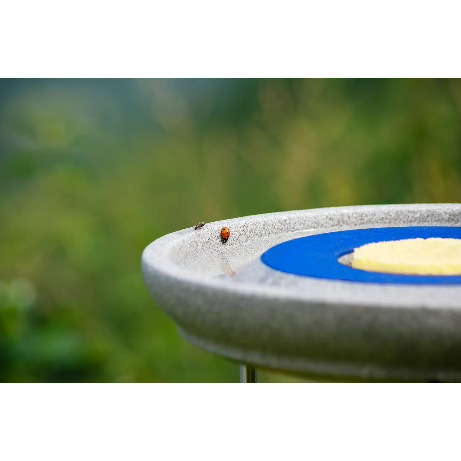 Insektentränke kaufen