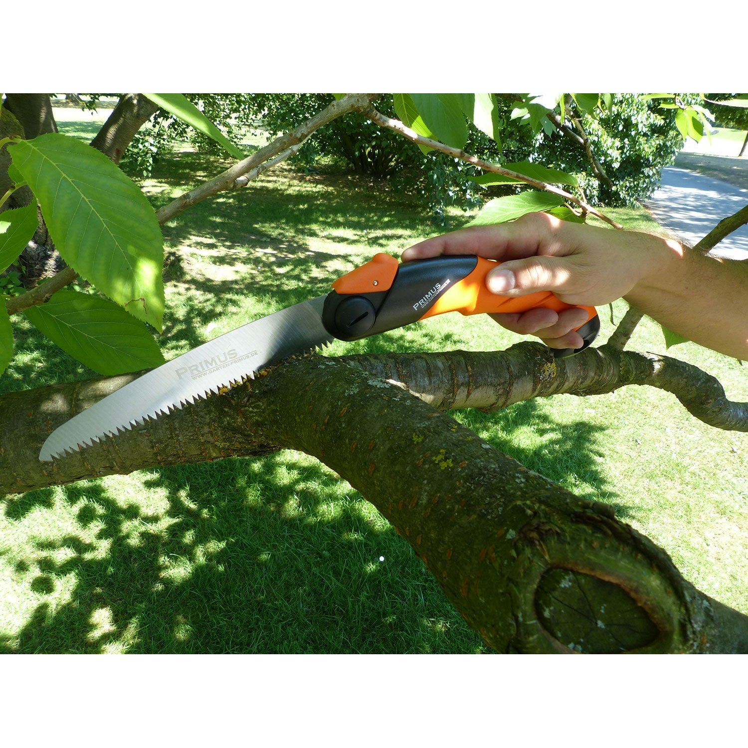 Hand nutzt eine Japanische Klappsäge - Zugsäge für Garten und Holz im Obstbau.