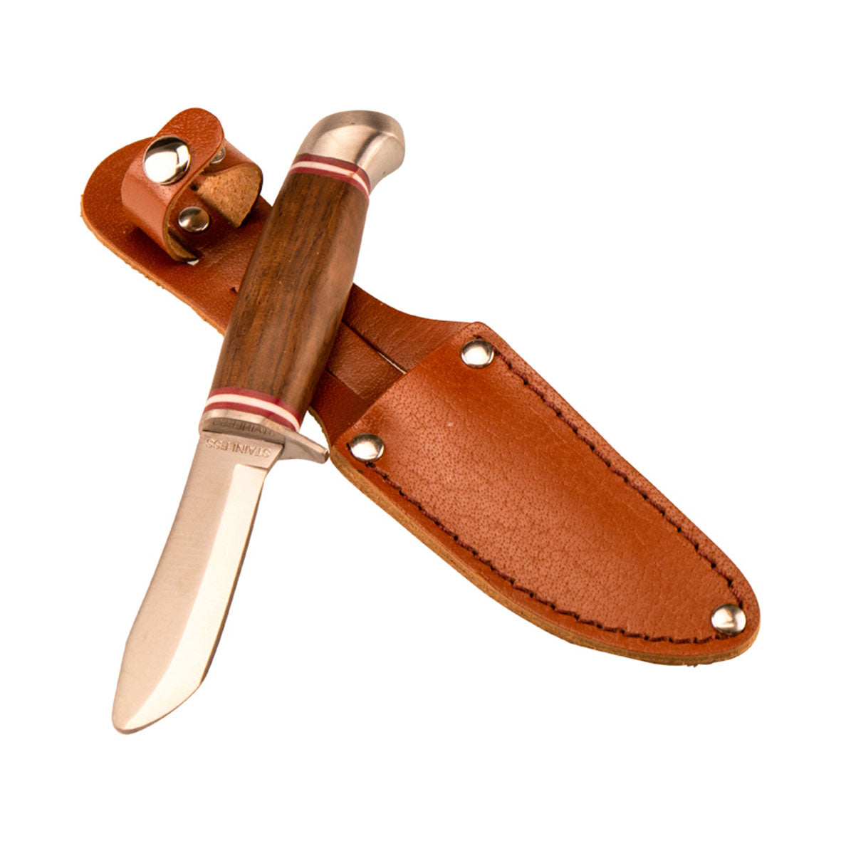 Das Outdoor Messer – Expedition Natur ist ein Jagdmesser mit Holzgriff, polierter Metallklinge mit abgerundeter Spitze, die teilweise aus einer braunen Lederscheide mit Metallnieten und einem geknöpften Riemen herausgezogen ist. Das Design verfügt über einen Fingerschutz für mehr Sicherheit, alles vor weißem Hintergrund.