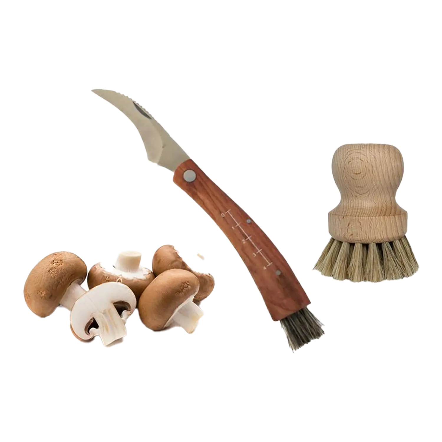 Pilzsammler-Set für Pilzliebhaber: mit Messer und Bürste, tolles Geschenk.