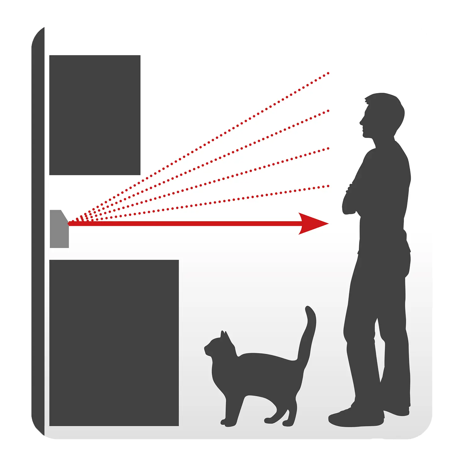 Katze und Person lösen Bewegungsmelder auf DAB+/UKW Steckdosenradio aus.