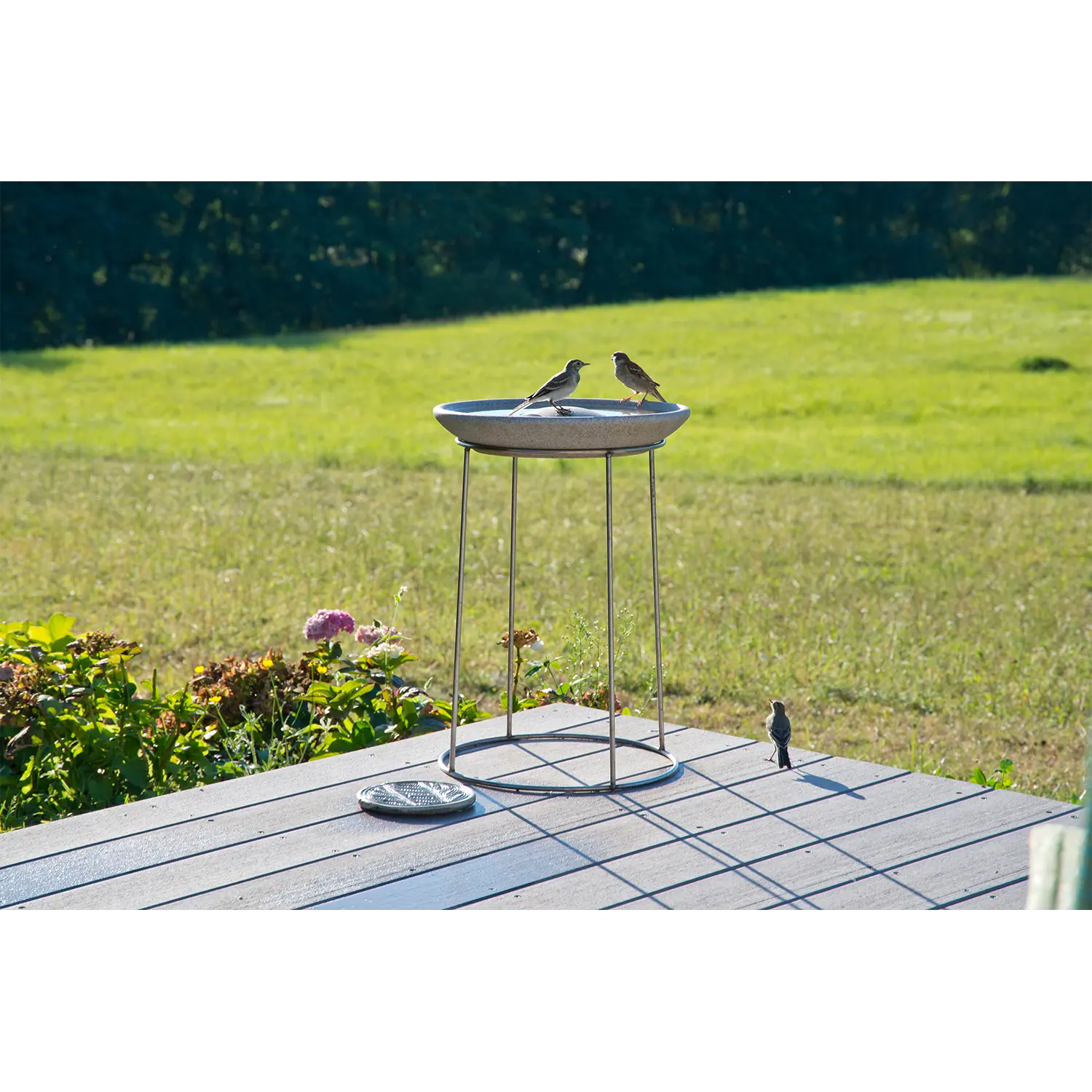 Drei Vögel bei einer Vogeltränke Granicium mit Ständer, frostfest auf der Terrasse.